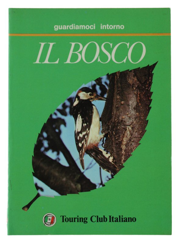 IL BOSCO - Guardiamoci Intorno | Immagine principale