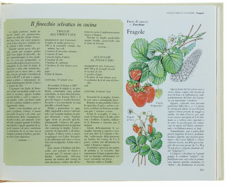 IL BUON SAPORE DELL'ORTO. Come coltivare, cucinare e conservare tutti … | Immagine Gallery 3