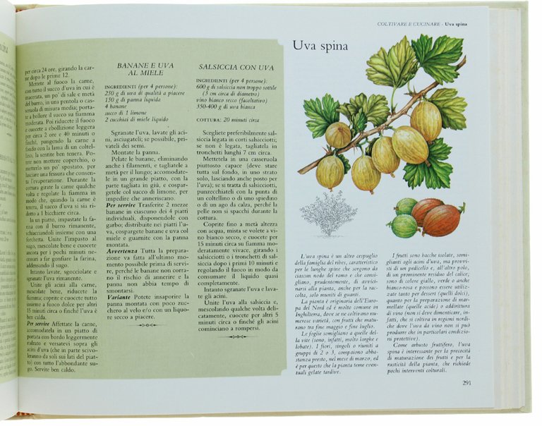 IL BUON SAPORE DELL'ORTO. Come coltivare, cucinare e conservare tutti … | Immagine Gallery 5