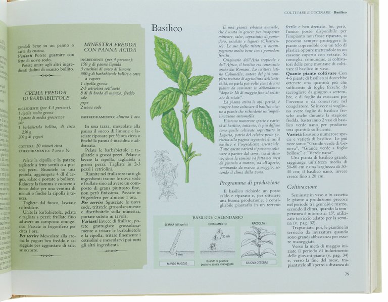 IL BUON SAPORE DELL'ORTO. Come coltivare, cucinare e conservare tutti … | Immagine Gallery 7