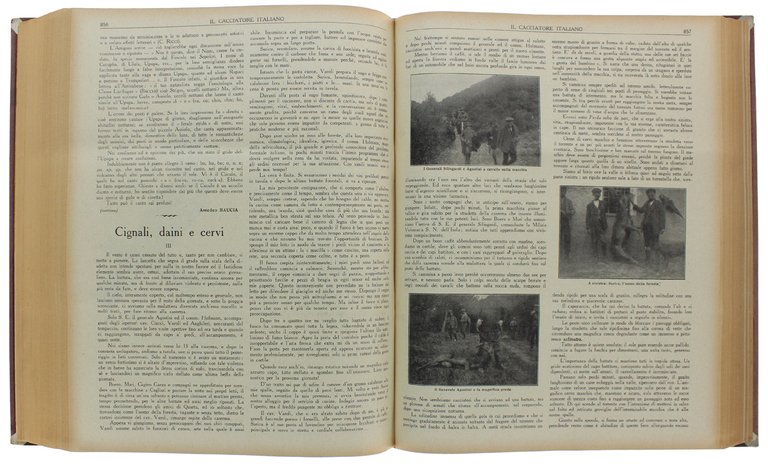 IL CACCIATORE ITALIANO - Annata 1931 completa.