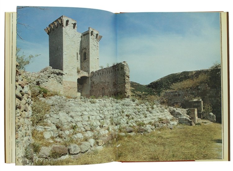 IL CASTELLO DI BOSA.