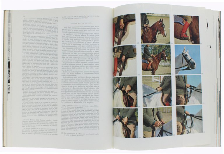 IL CAVALLO E L'UOMO. Il cavallo nella storia antica, nel …