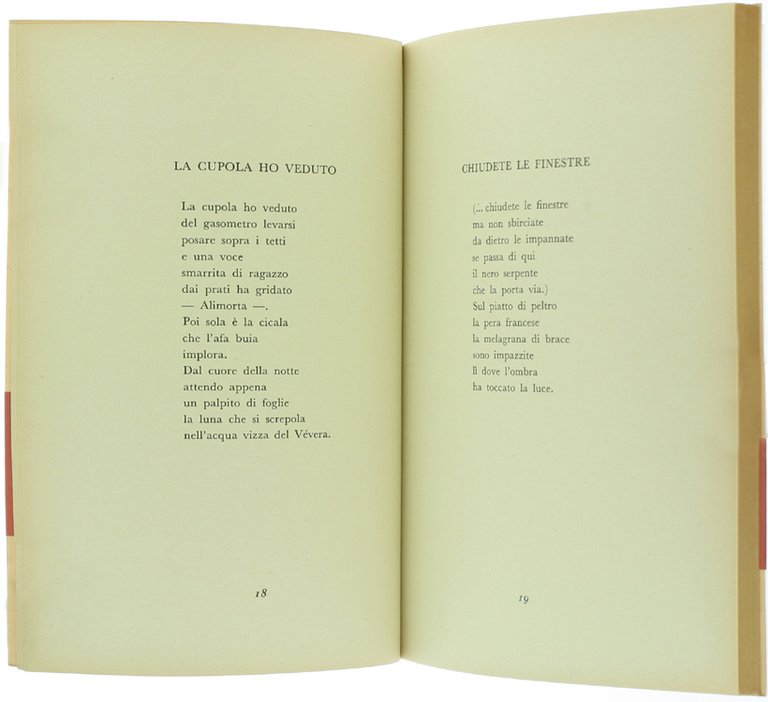 IL FLAUTO E LA BRICOLLA.