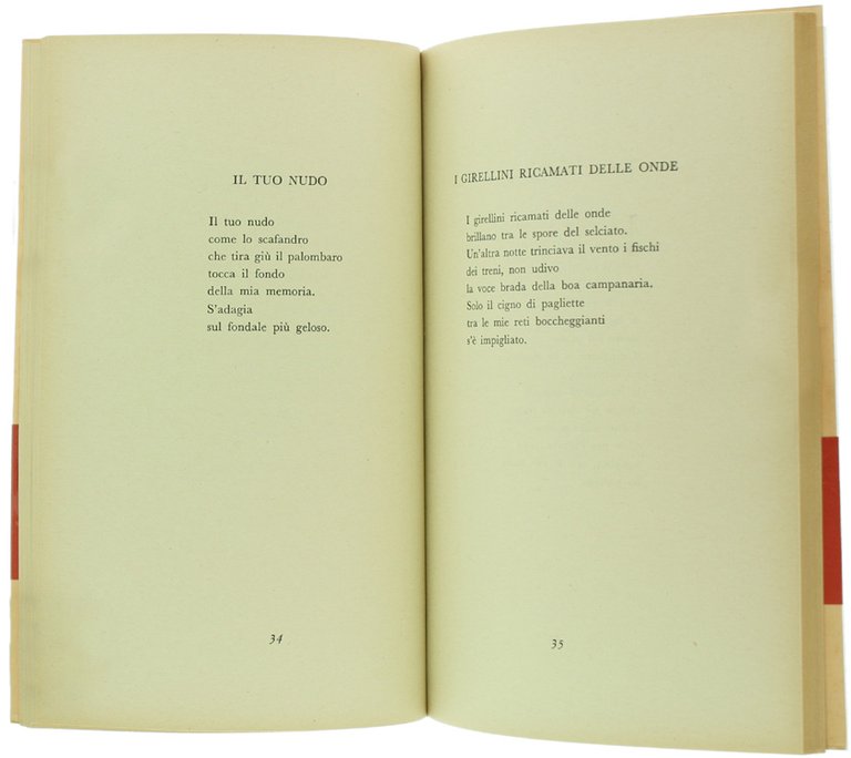 IL FLAUTO E LA BRICOLLA.