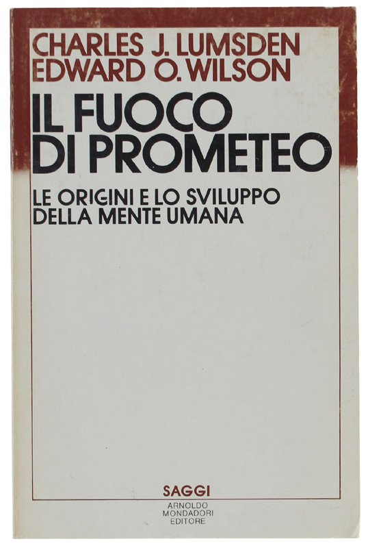 IL FUOCO DI PROMETEO. Le origini e lo sviluppo della …