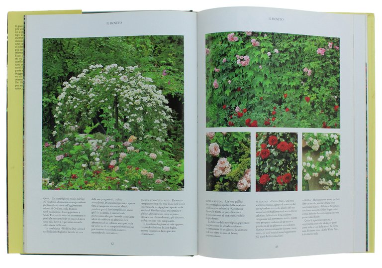 IL GIARDINO IDEALE. Mille idee per creare un giardino di …
