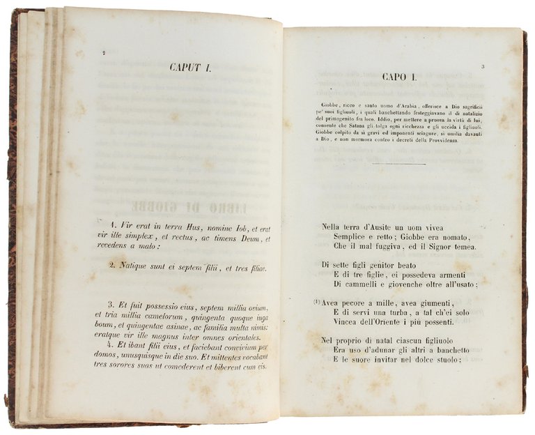 IL GIOBBE tradotto in terza rima | Immagine Gallery 5