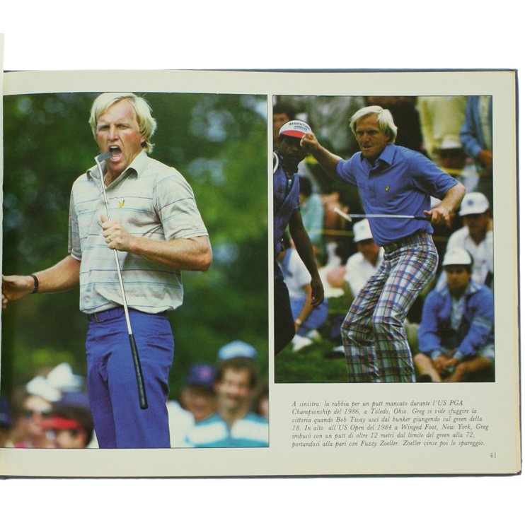 IL GRANDE GOLF & DINTORNI.