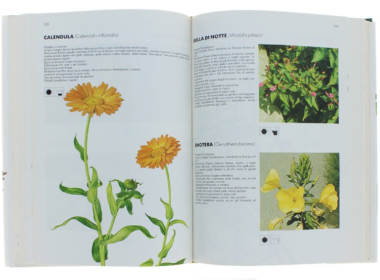 IL GRANDE LIBRO DEL GIARDINAGGIO.