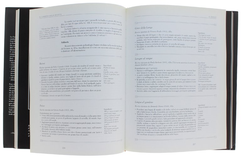 IL GRANDE LIBRO DELLA CUCINA ALBESE - Storia, tradizioni, storie