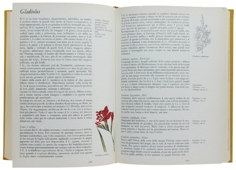 IL LIBRO DEI FIORI. Edizione pratica.