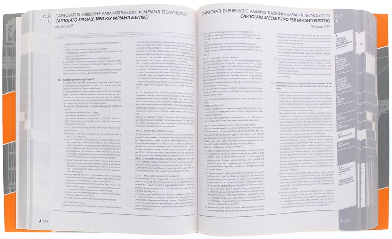 IL MANUALE DEI CAPITOLATI E DEI PREZZARI.