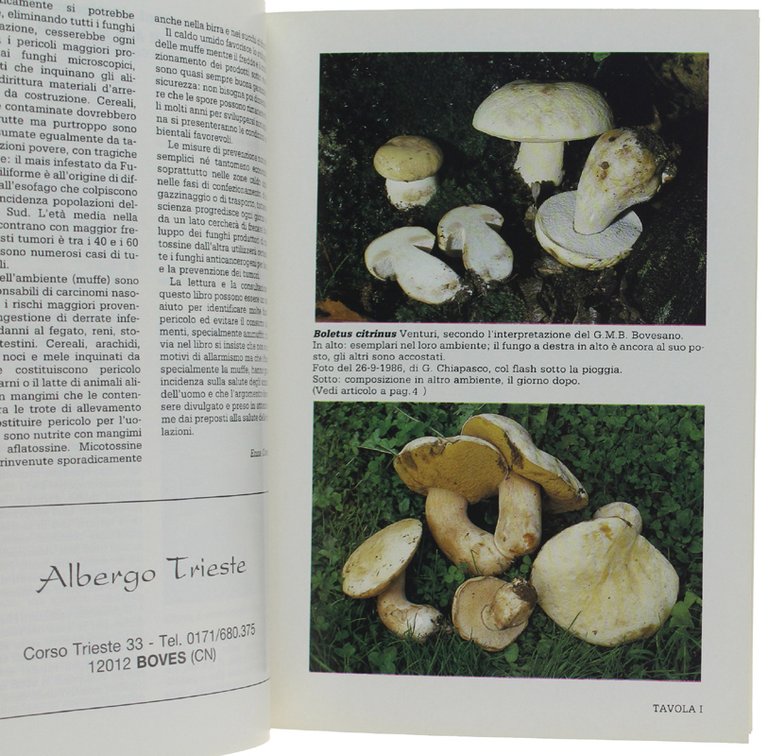 IL MICOLOGO Anno XX N. 66 Agosto 1988: Numero speciale …