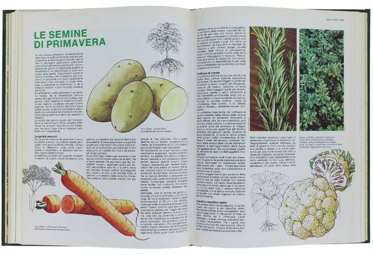 IL MIO GIARDINO. Guida pratica per giardino e orto [completa: …