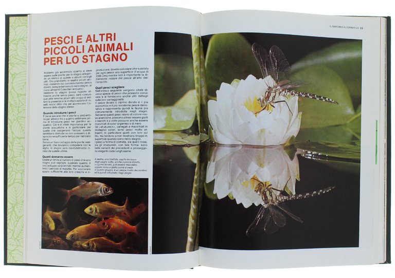 IL MIO GIARDINO. Guida pratica per giardino e orto [completa: …