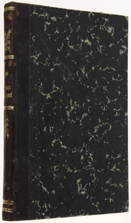 IL MISTICO SEME NEL CAMPO DELLA CHIESA ossia LA PAROLA …