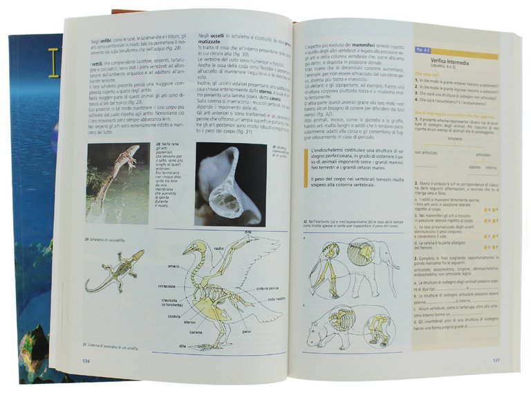 IL MONDO DELLE SCIENZE. I: Scienze fisiche e chimiche - … | Immagine Gallery 2