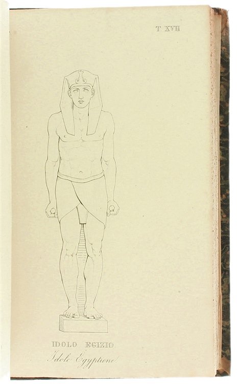IL MUSEO PIO CLEMENTINO ILLUSTRATO E DESCRITTO