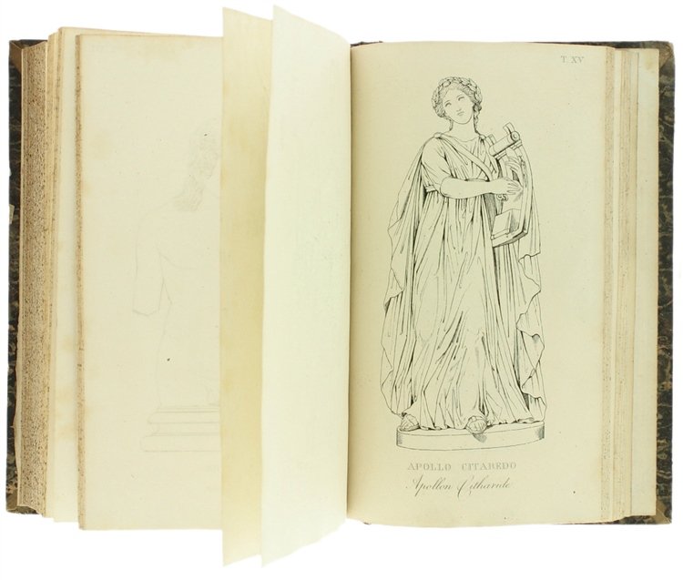 IL MUSEO PIO CLEMENTINO ILLUSTRATO E DESCRITTO