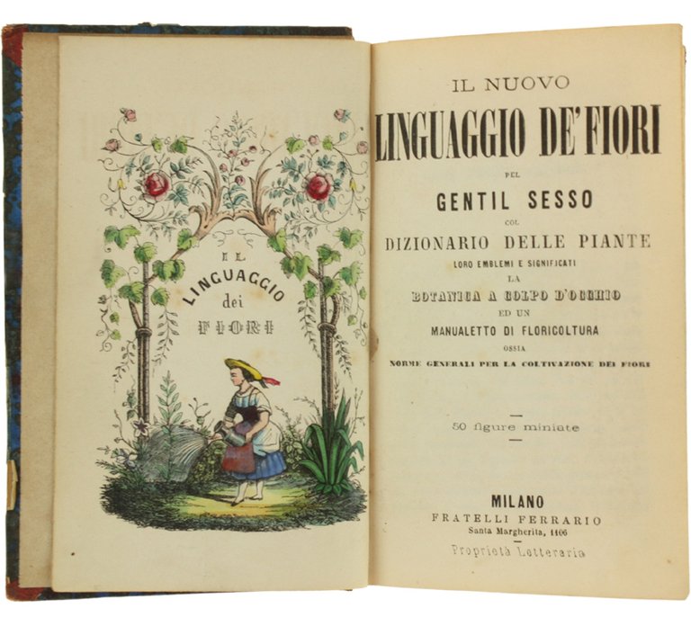 IL NUOVO LINGUAGGIO DE' FIORI PEL GENTIL SESSO COL DIZIONARIO …