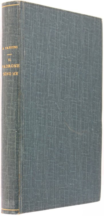 IL PADRONE SONO ME! Romanzo.