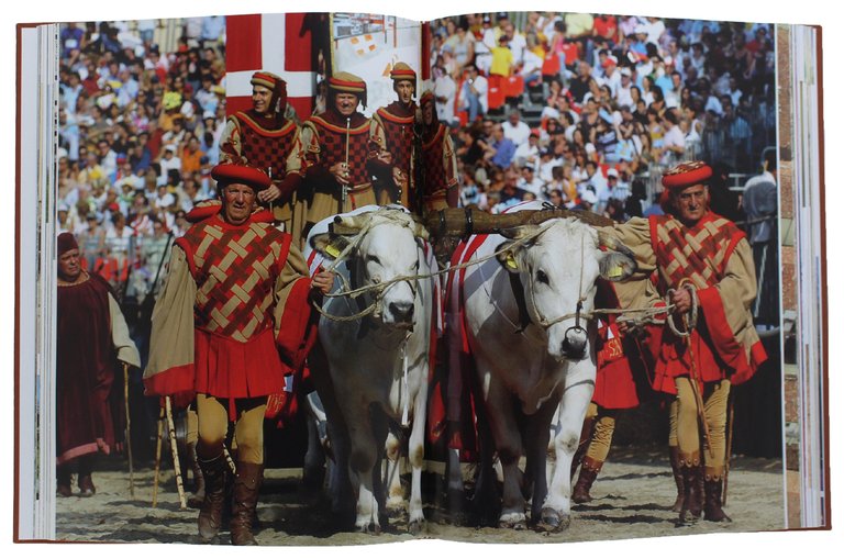 IL PAESAGGIO CULTURALE ASTIGIANO: LA FESTA [volume nuovo]