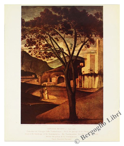 IL PAESAGGIO NELL'ARTE. 53 tavole a colori.