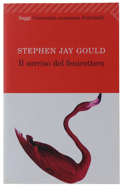 IL SORRISO DEL FENICOTTERO