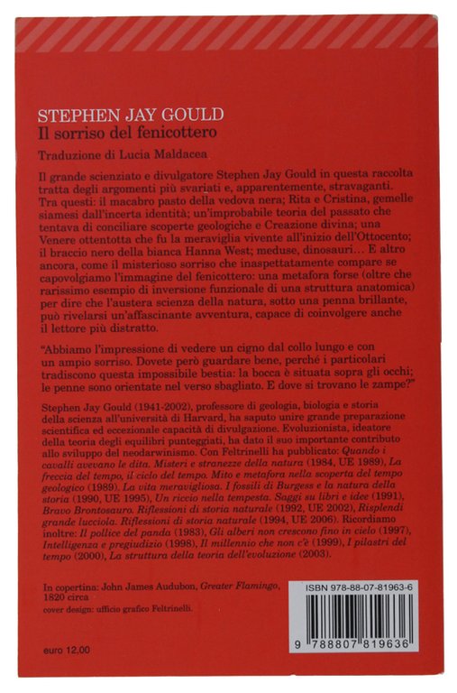 IL SORRISO DEL FENICOTTERO