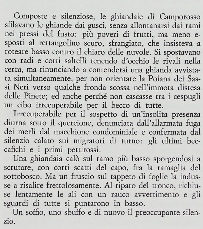 IL TESORO DI BORGOVECCHIO. [Prima edizione - NUOVO]