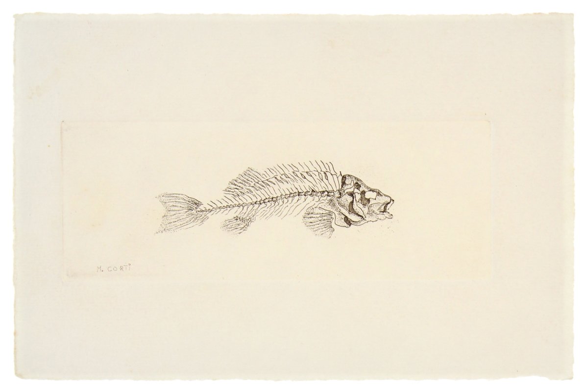 INCISIONE SU RAME "Lisca di pesce" | Immagine principale