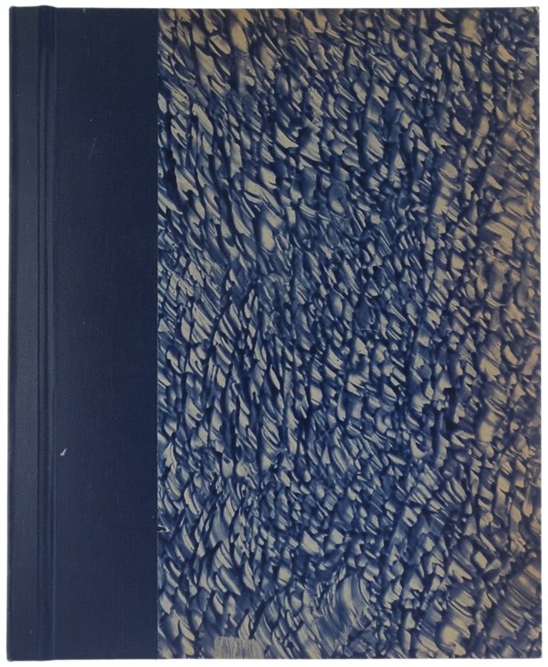 ITALIA DOMANDA - IL MONDO IL CUI VIVIAMO.