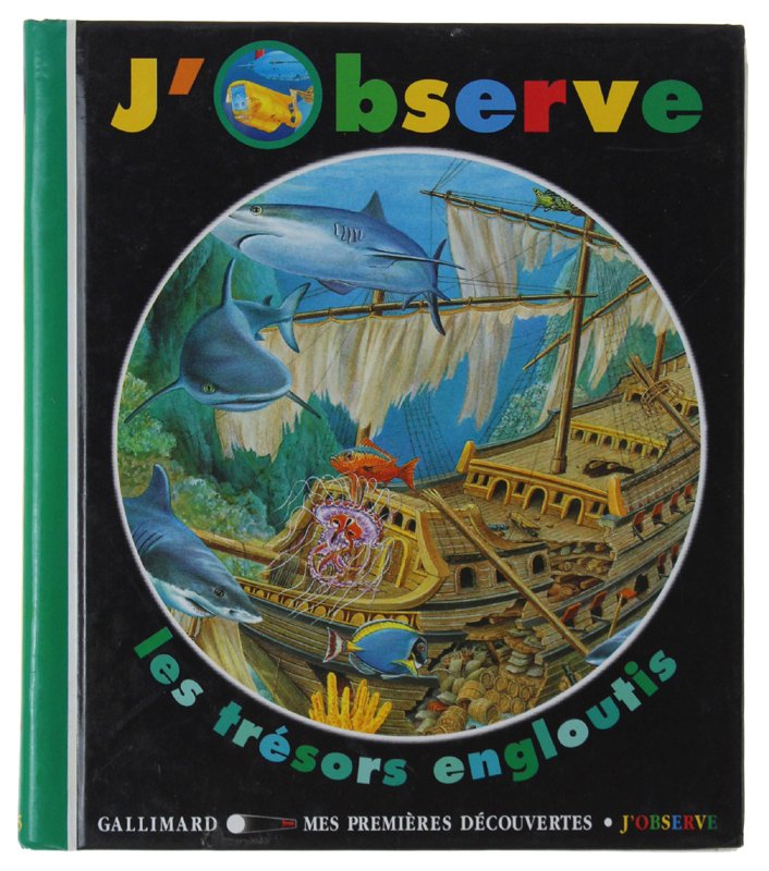 J'OBSERVE LES TRÉSORS ENGLOUTIS | Immagine principale