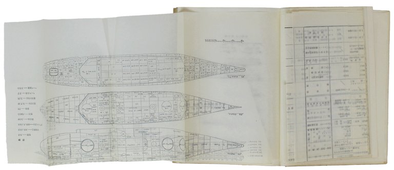 JAPANESE WARSHIPS [edizione originale in giapponese]