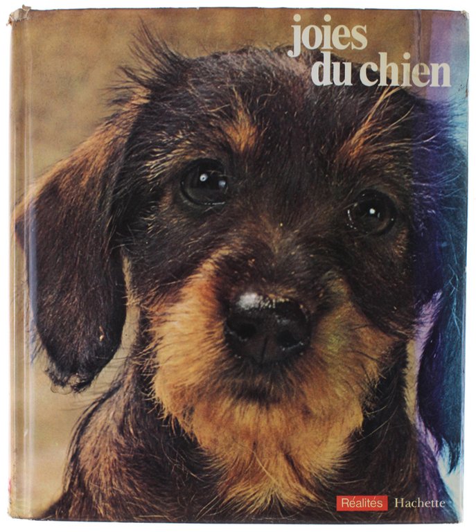 JOIES DU CHIEN.
