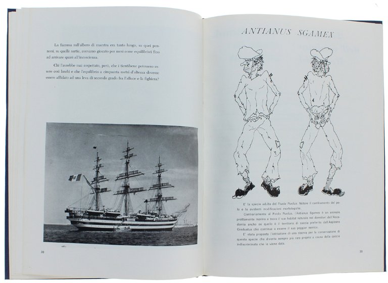 KON-TIKI 1964 - 1968.