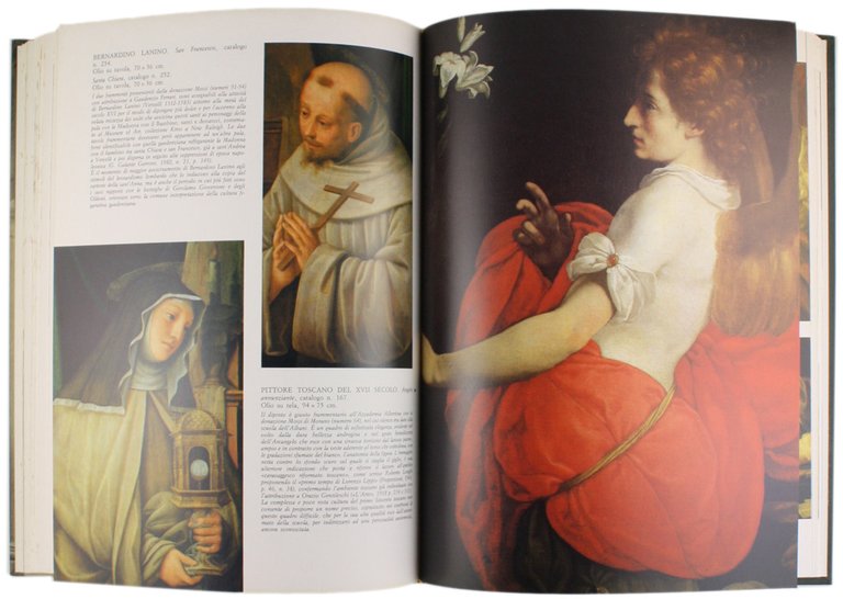 L'ACCADEMIA ALBERTINA DI TORINO [splendido volume]