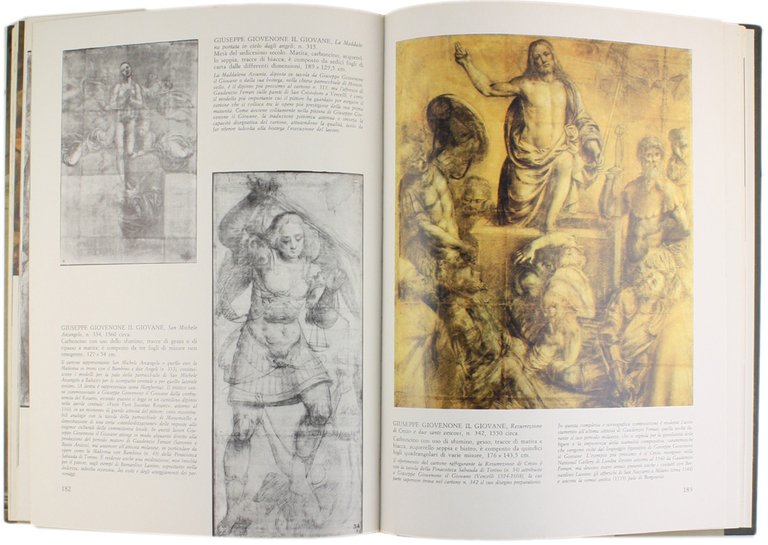 L'ACCADEMIA ALBERTINA DI TORINO [splendido volume]