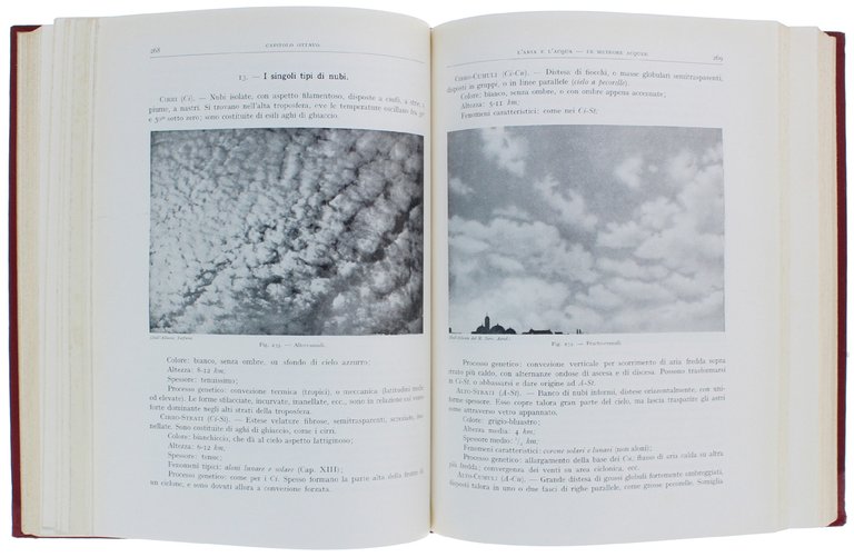 L'ARIA NELLA NATURA E NELLA VITA. | Immagine Gallery 3