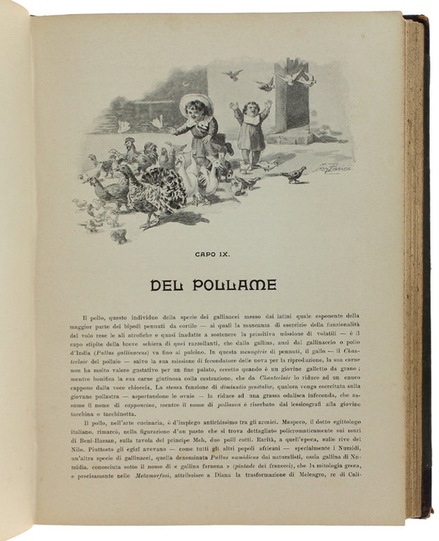 L'ARTE CUCINARIA IN ITALIA. Trattato teorico pratico e dimostrativo della …