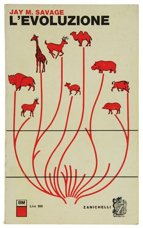 L'EVOLUZIONE.