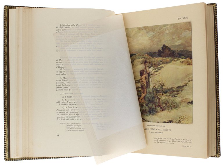 LA BIBBIA illustrata dai capolavori d'arte d'ogni scuola e d'ogni …
