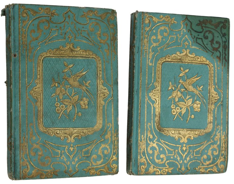 LA CHAUMIERE IRLANDAISE. Tome I - II. (complet)