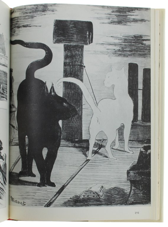 LA COLLEZIONE DI STAMPE. Guida allo studio dell'incisione antica e …