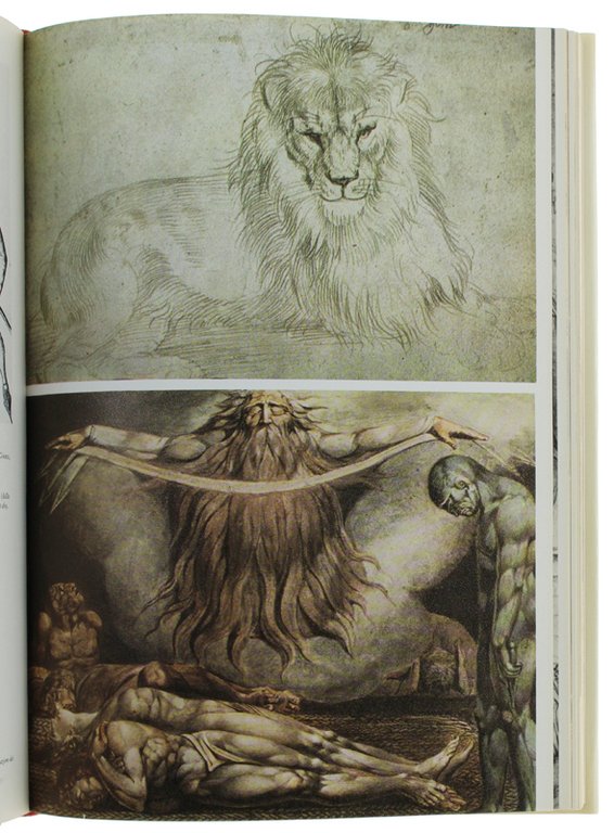 LA COLLEZIONE DI STAMPE. Guida allo studio dell'incisione antica e …