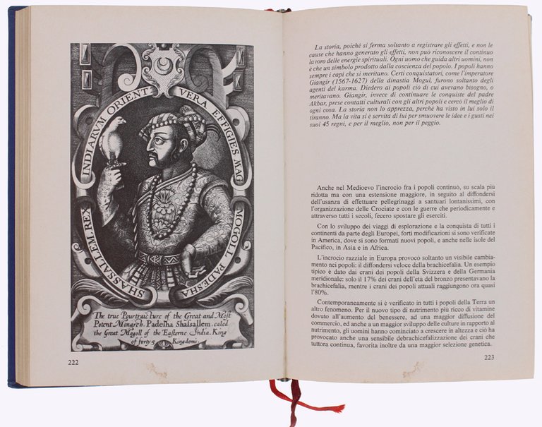 LA DIMENSIONE DELLA CONOSCENZA. Dalla paleontologia all'esoterismo. | Immagine Gallery 2