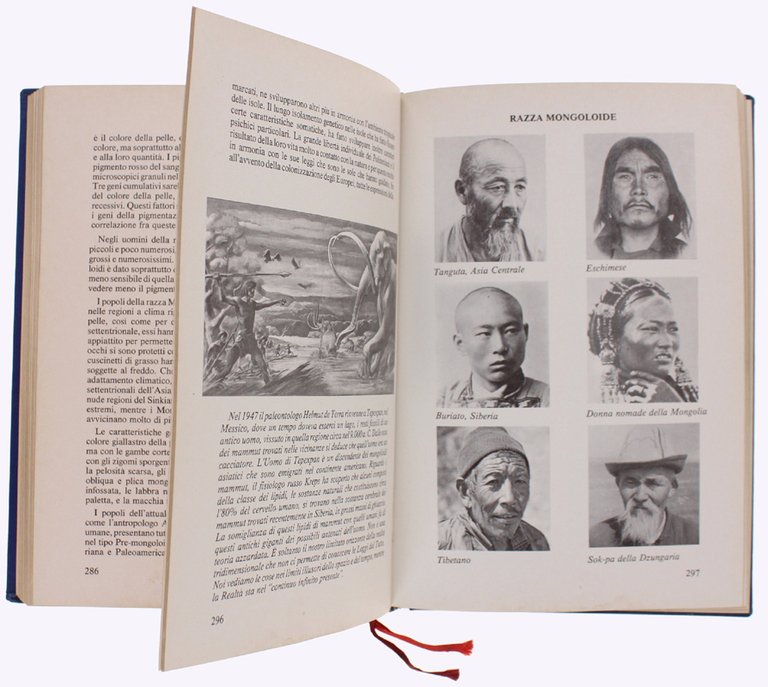 LA DIMENSIONE DELLA CONOSCENZA. Dalla paleontologia all'esoterismo. | Immagine Gallery 3