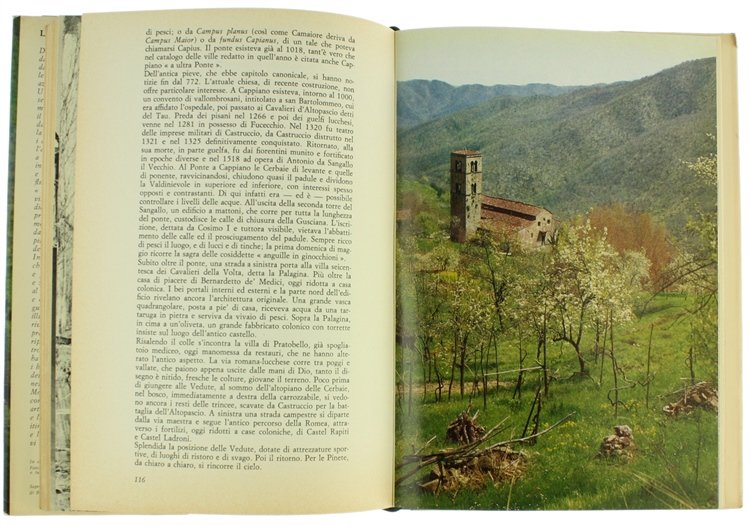 LA GRANDE VALDINIEVOLE. Dieci itinerari d'arte e turismo.