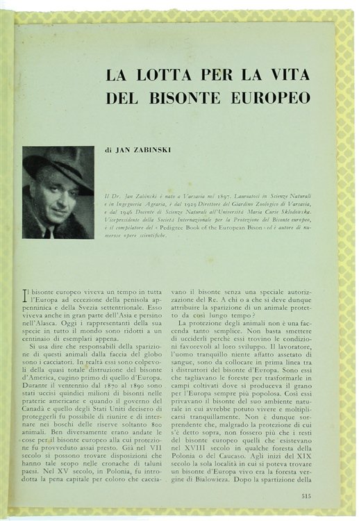 LA LOTTA PER LA VITA DEL BISONTE EUROPEO.